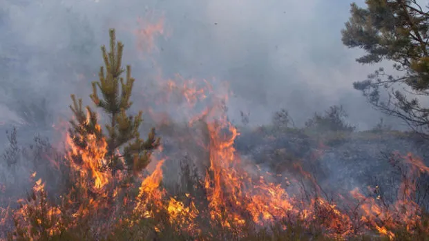 Record Surge in Carbon Dioxide Levels, Casting Doubt on 1.5°C Warming Limit