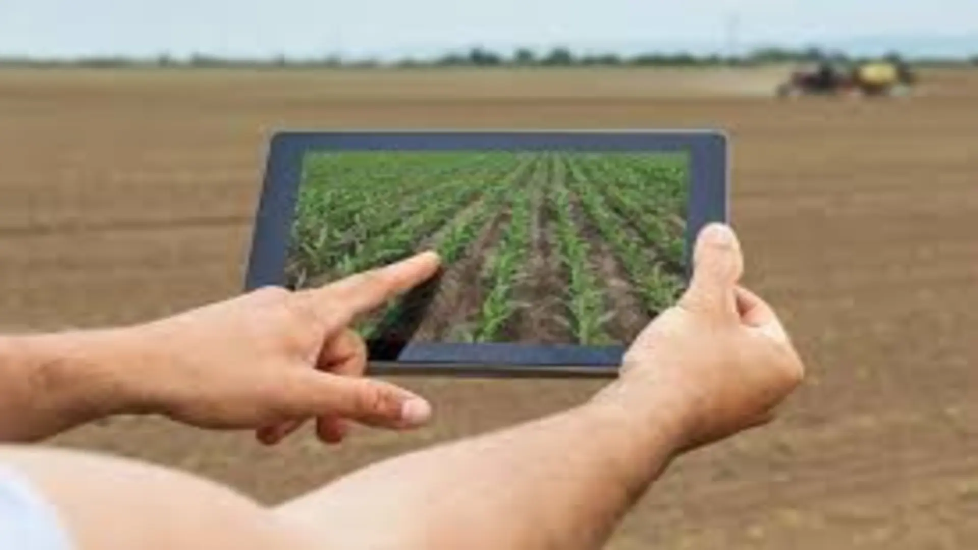 Union Cabinet Approves Weather-Based Crop Insurance Scheme, Will Help Estimating Yield