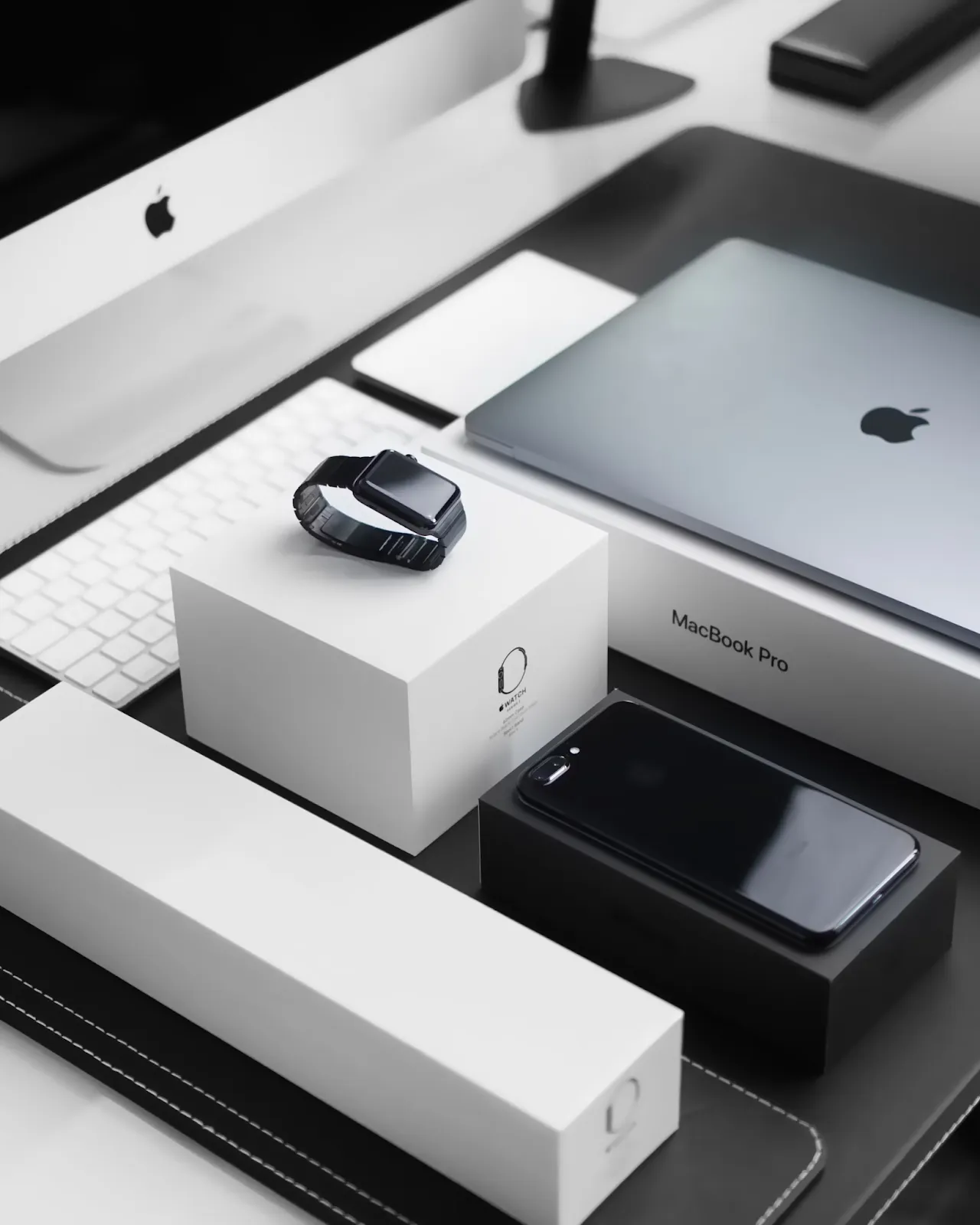 What are the Cornerstones of New Zealand’s Burgeoning Tech Scene?