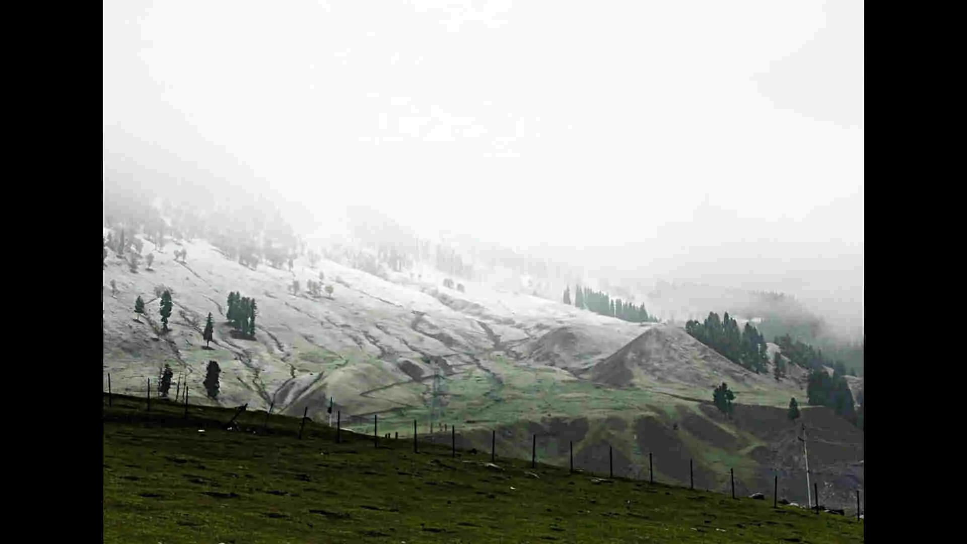 Fresh Snowfall Blankets Kashmir as Mercury Remains Near Freezing