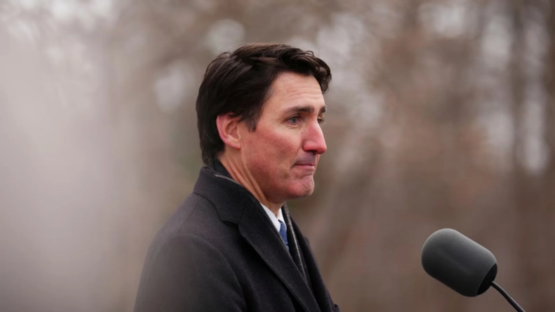 Trudeau Threatens Strong Counteraction If US Imposes Tariffs, Warns Of Economic Impact
