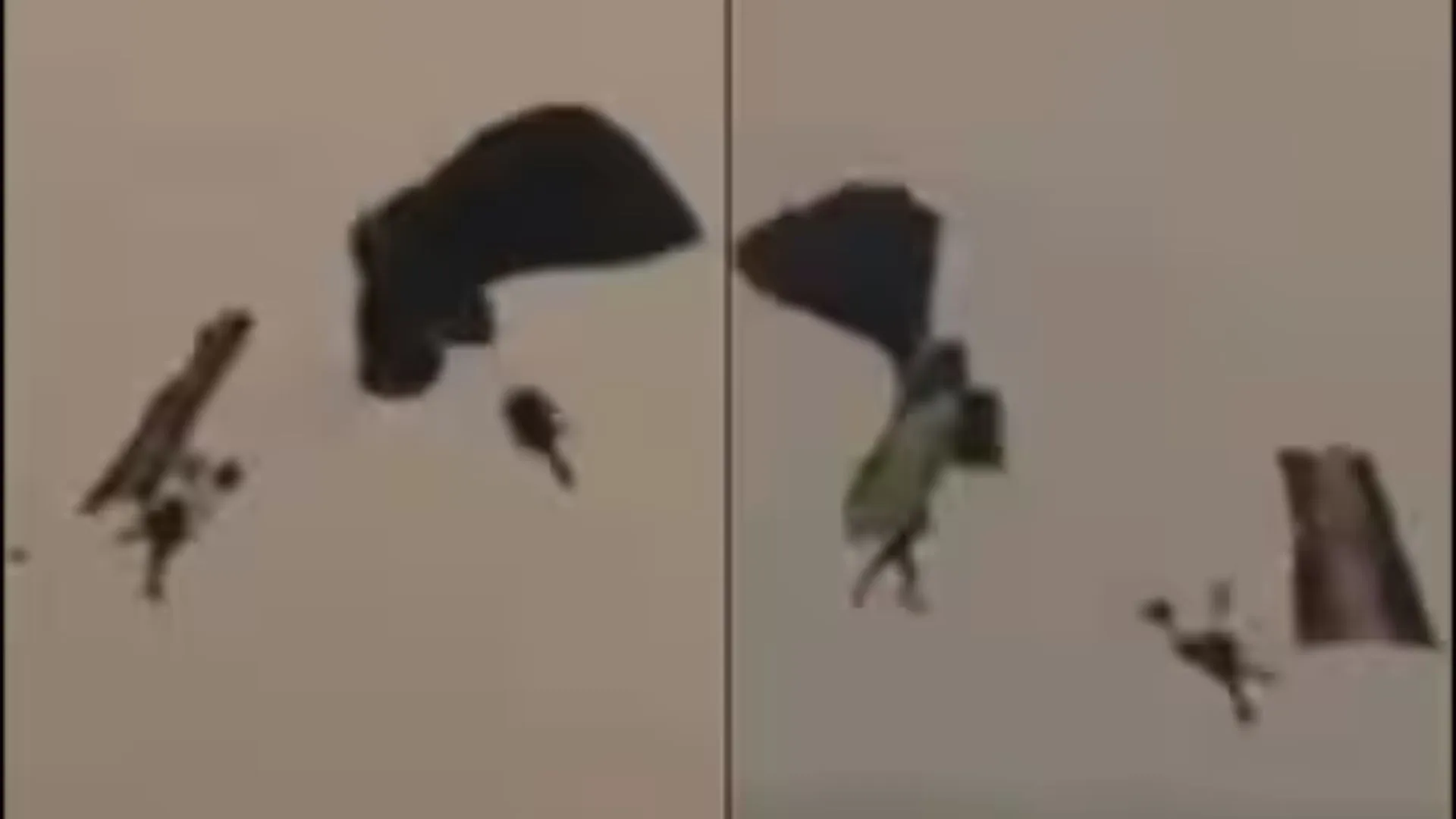 Two Navy Officers Rescued After Parachutes Entangle | Watch