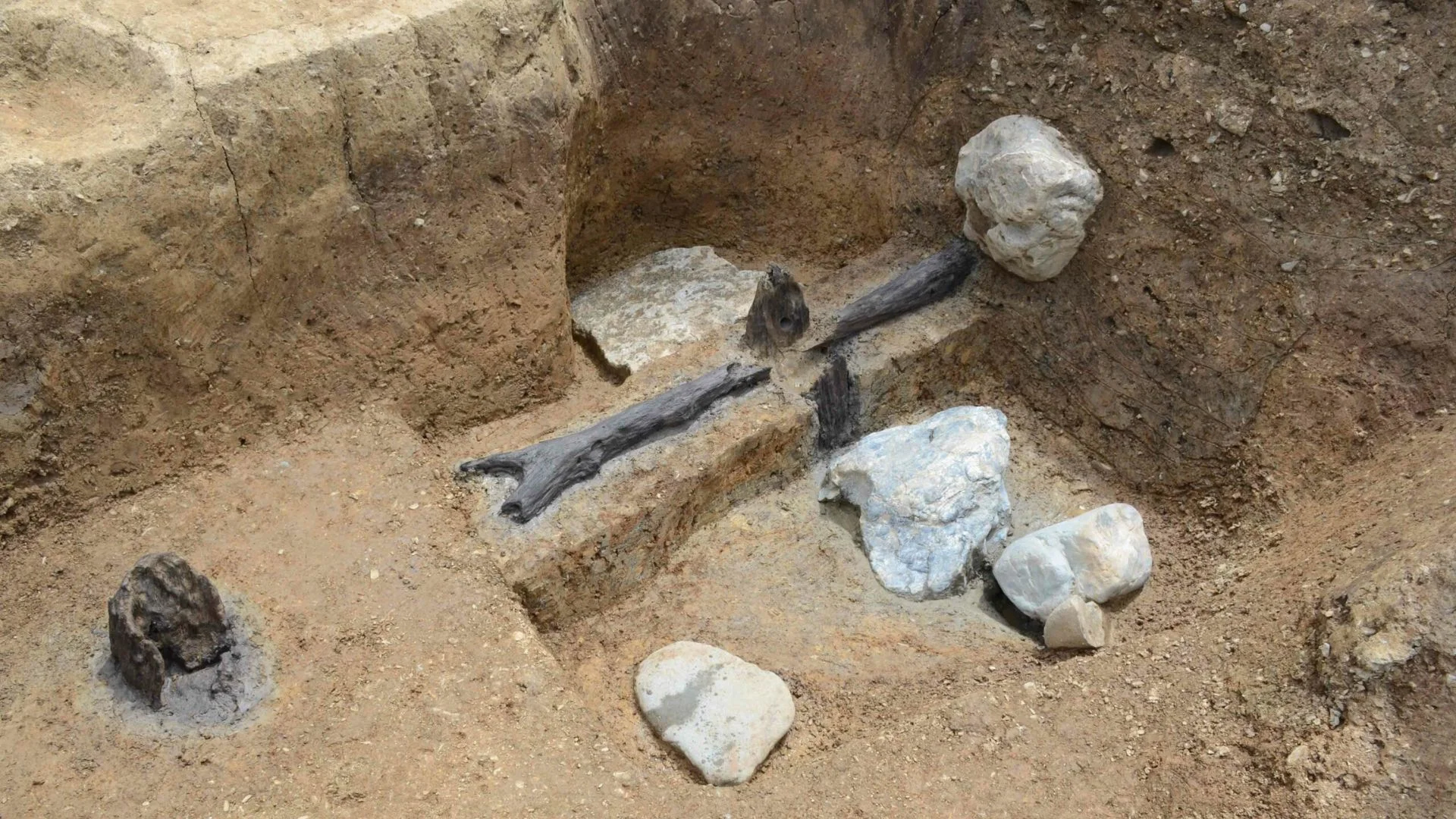 Japan Ancient “Ushikawa Man” Fossils Unmasked As Bear Bones In Stunning Twist
