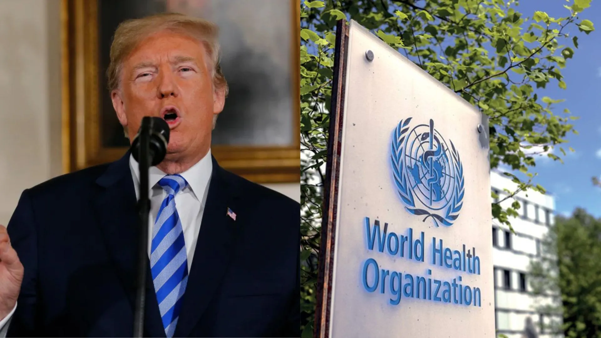 WHO Expresses Regret Over Trump’s Decision to Withdraw US from the Organization