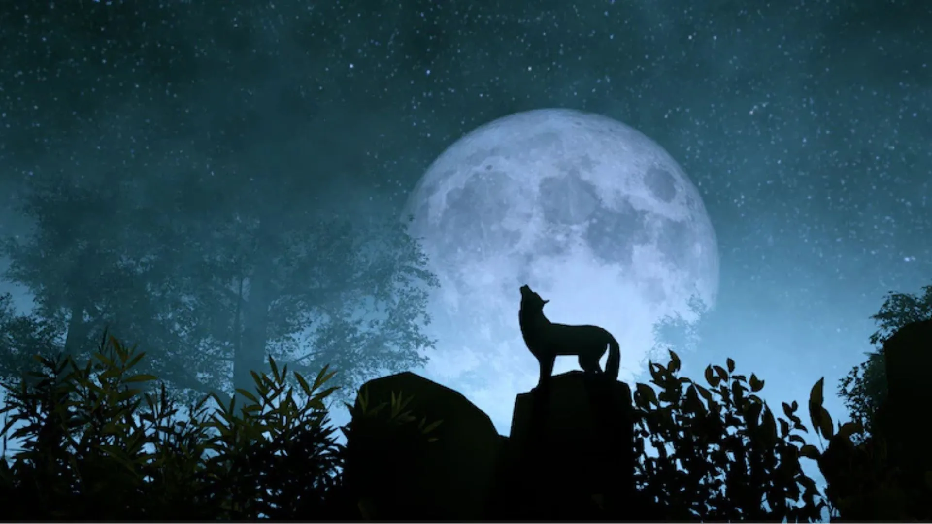 Wolf Moon 2025: When and Where to Catch January’s First Full Moon