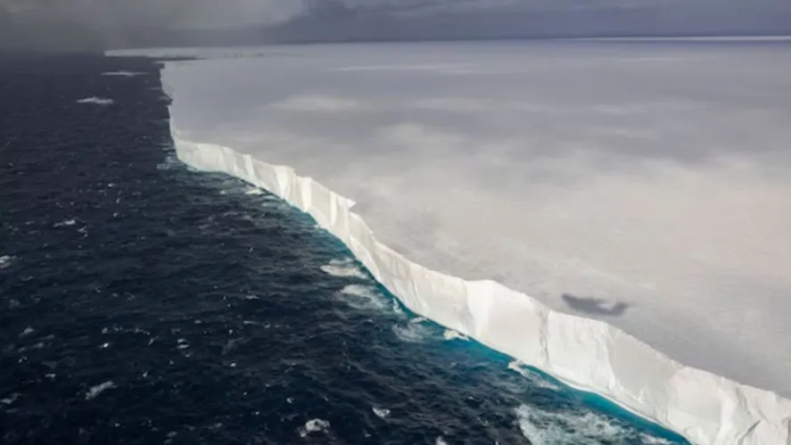 World’s Largest Iceberg A23a on Collision Course with South Georgia: What It Means for Wildlife