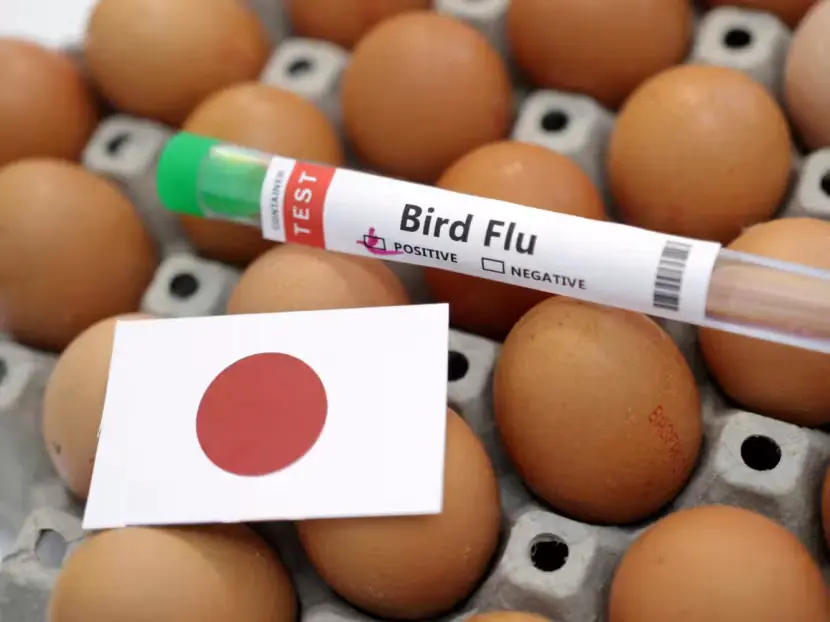 Louisiana Bird Flu Mutation Sparks Concerns Over Human Transmission Risk