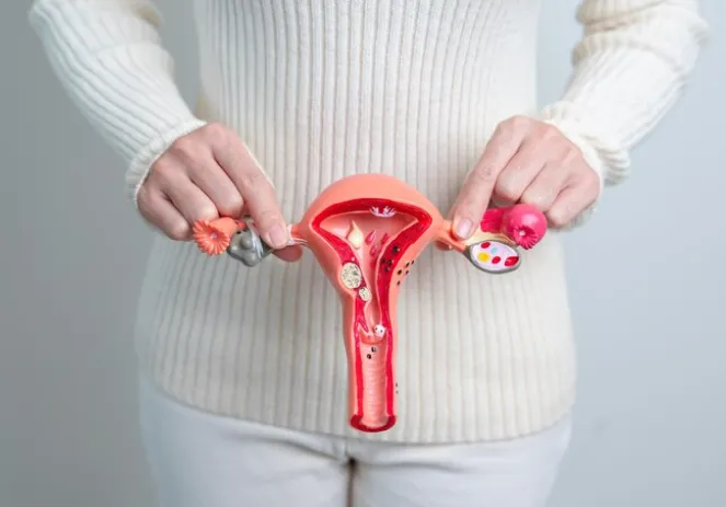 Women Pay £11,000 for Hysterectomies as NHS Delays Surge