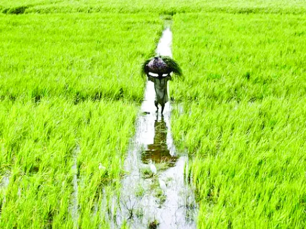 Sowing the seeds of prosperity: Modi government’s renewed commitment to farmers and a Viksit Bharat