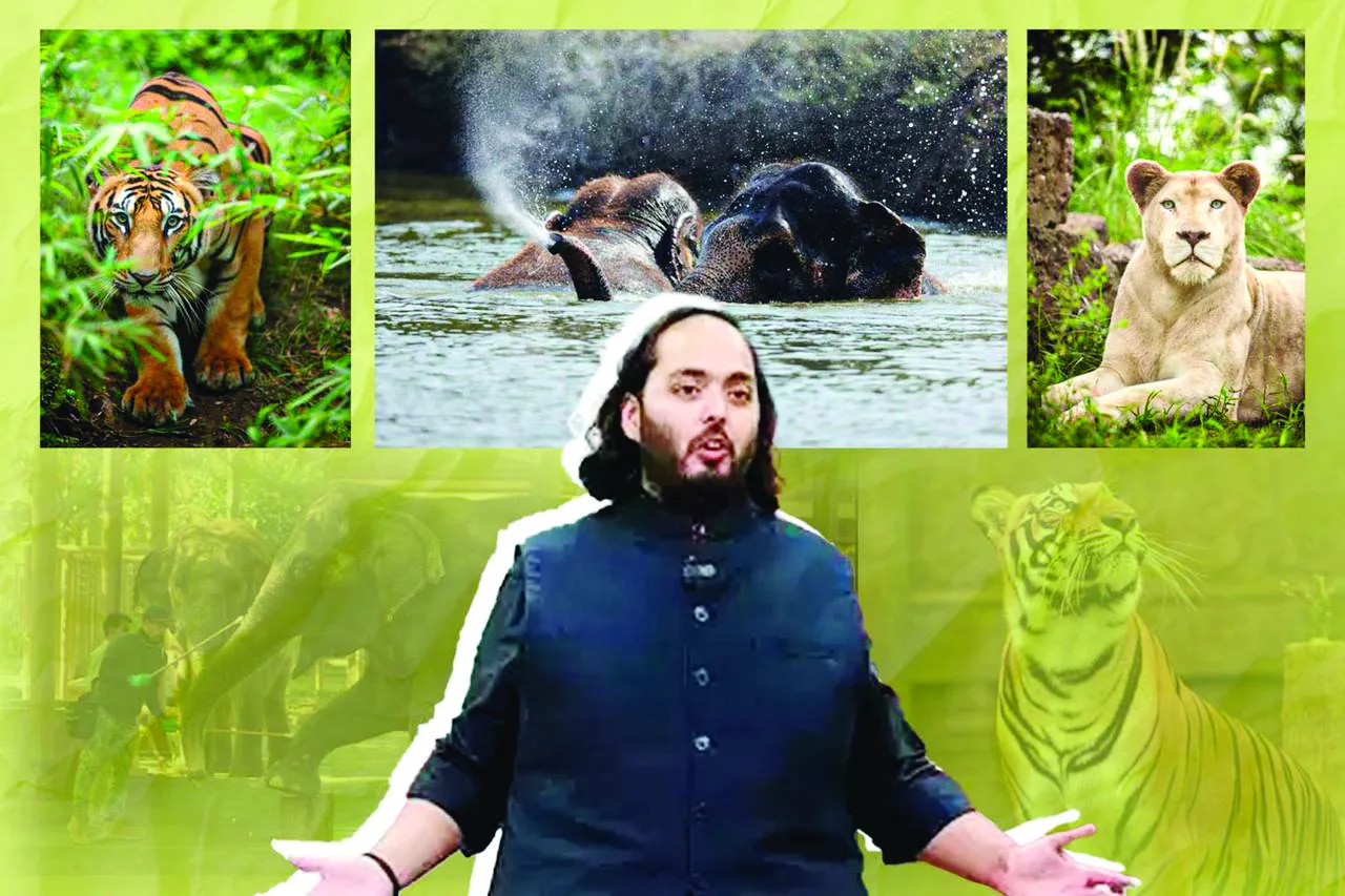 Story of Anant Ambani & parrot