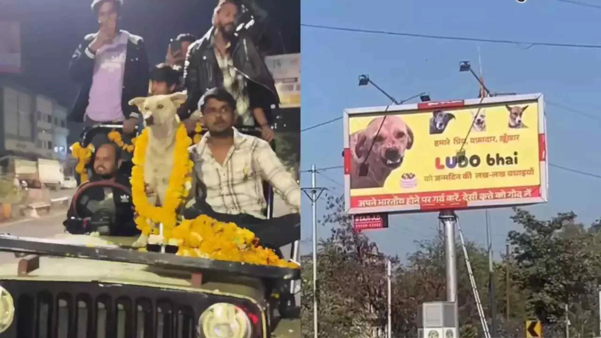 ‘Ludo Bhai Ka Birthday’: Boys Put Up Big Hoarding For Dog’s Birthday