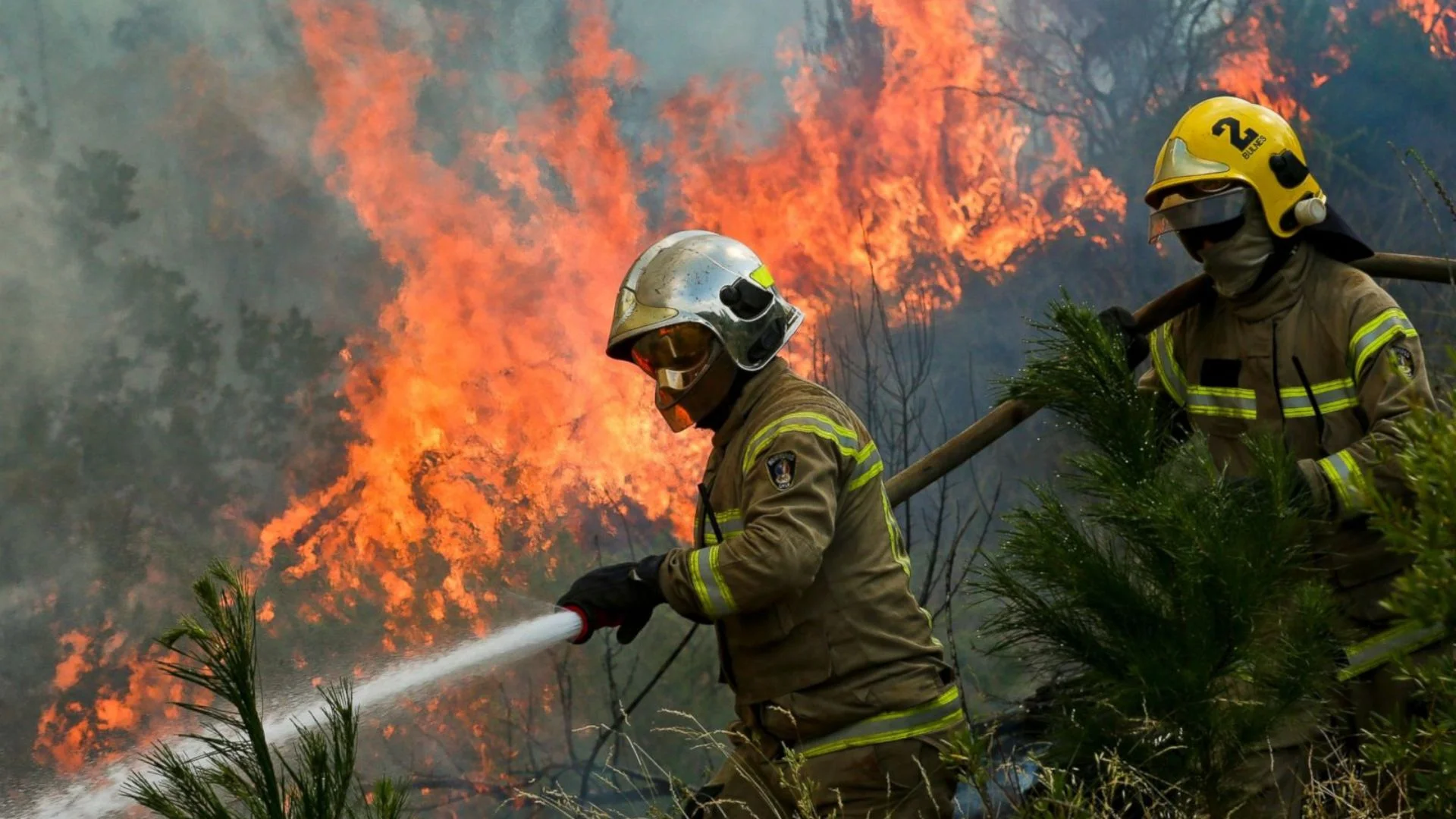 Chile Declares State Of Emergency As Destructive Wildfires Rage, Arson Suspected
