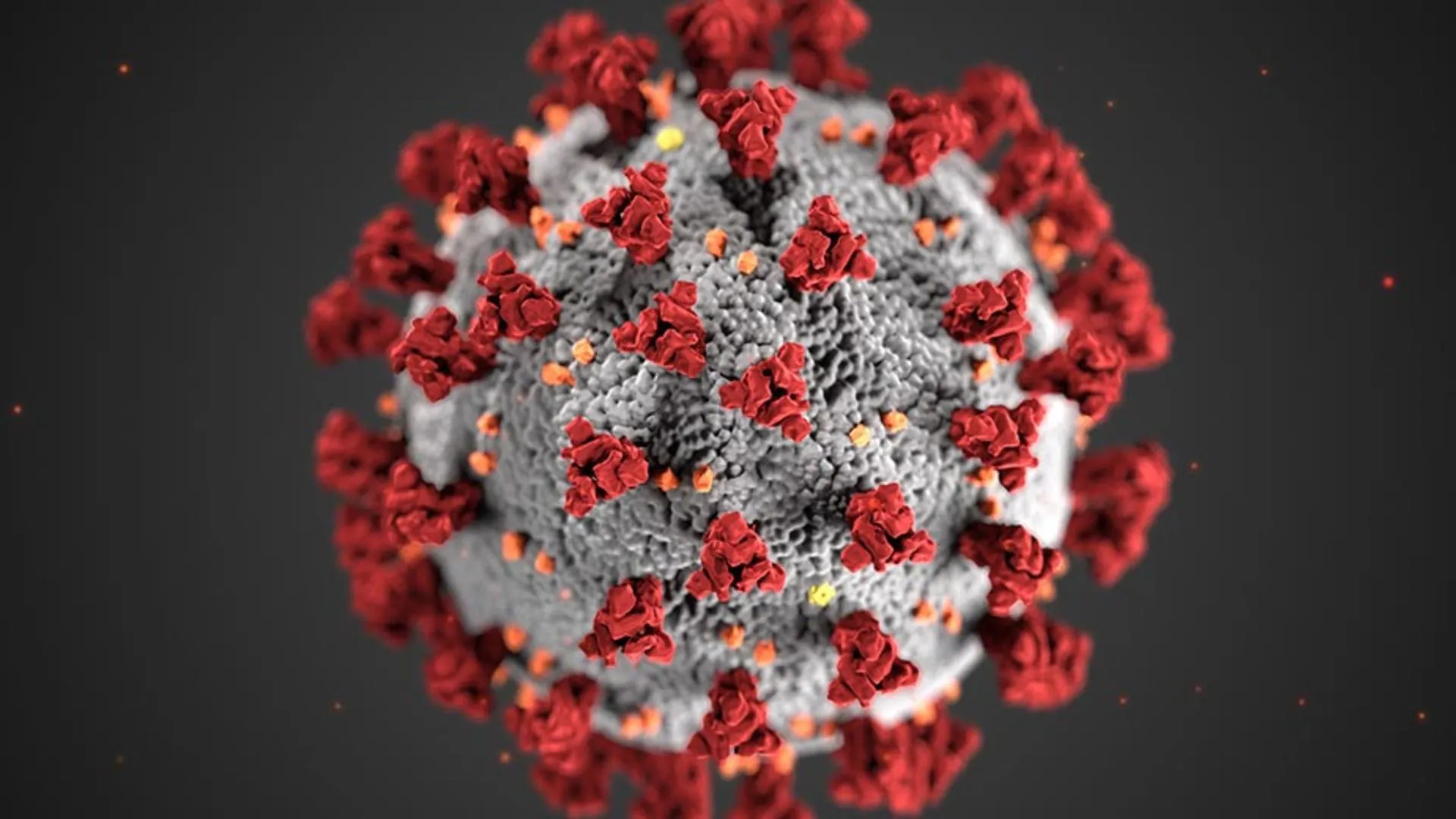 Scientists in Wuhan Lab Discover Covid-19-Like Bat Virus, Poses Risk Of Animal-to-Human Transmission