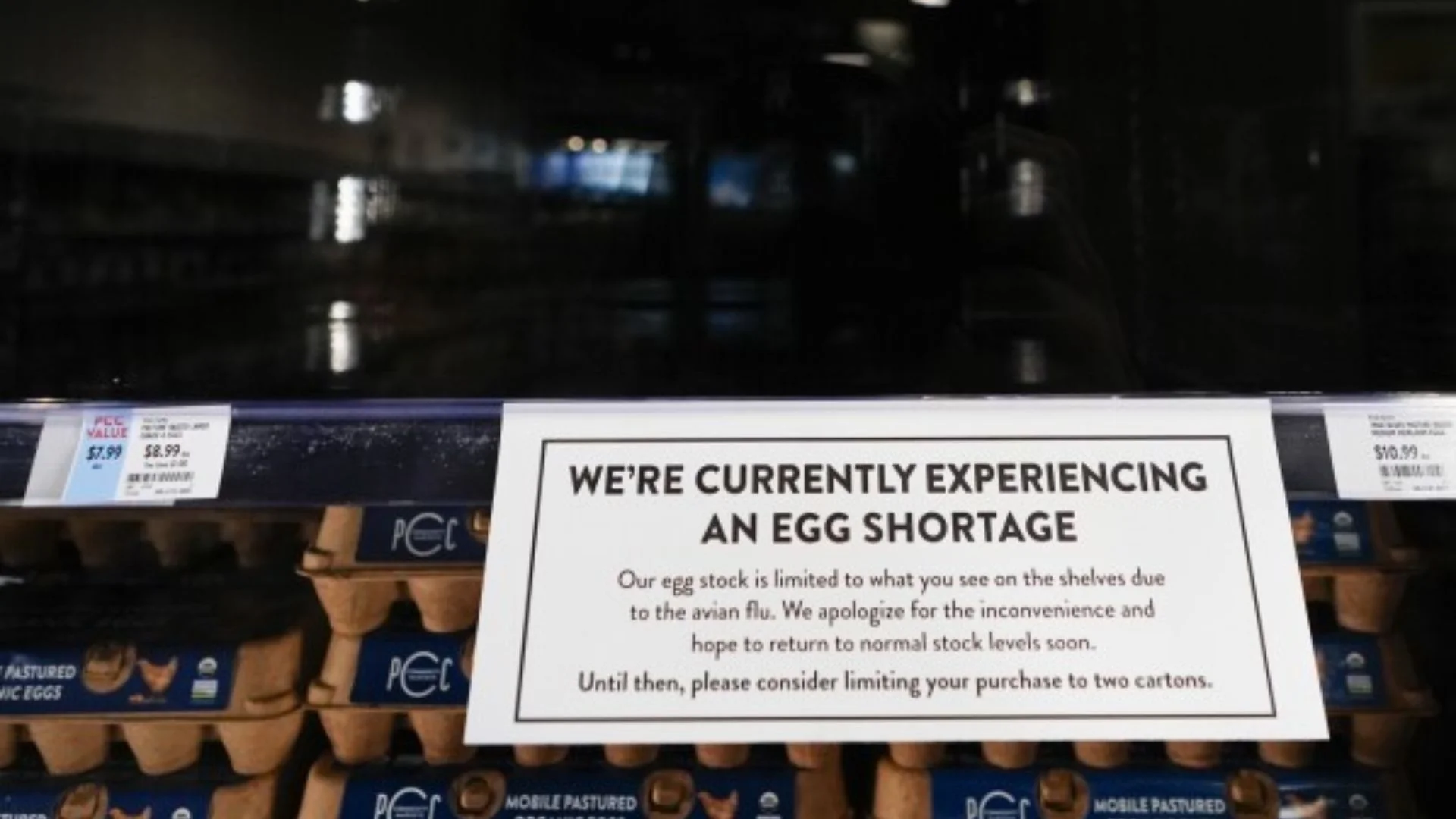Bird Flu Crisis Sends Egg Prices Skyrocketing In US, Shortages Leave Shelves Bare