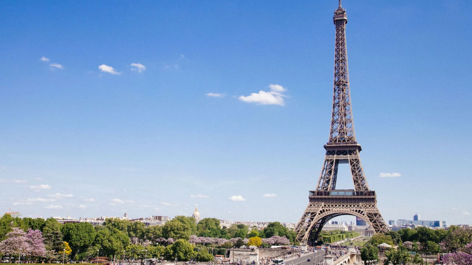 France Faces EU Court Battle Over Illegal Bird Hunting Practices