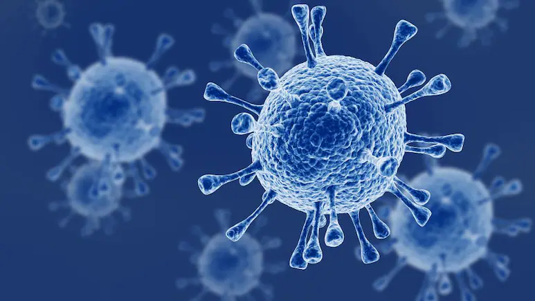 Guillain-Barré Syndrome Outbreak: 8 Deaths Reported in Maharashtra