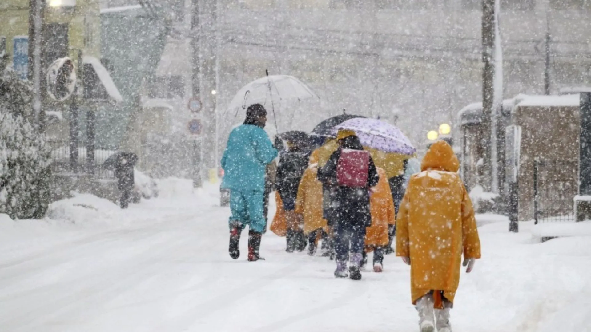 Japan Hit by Heaviest Snowfall in Years Amid Strong Cold Front