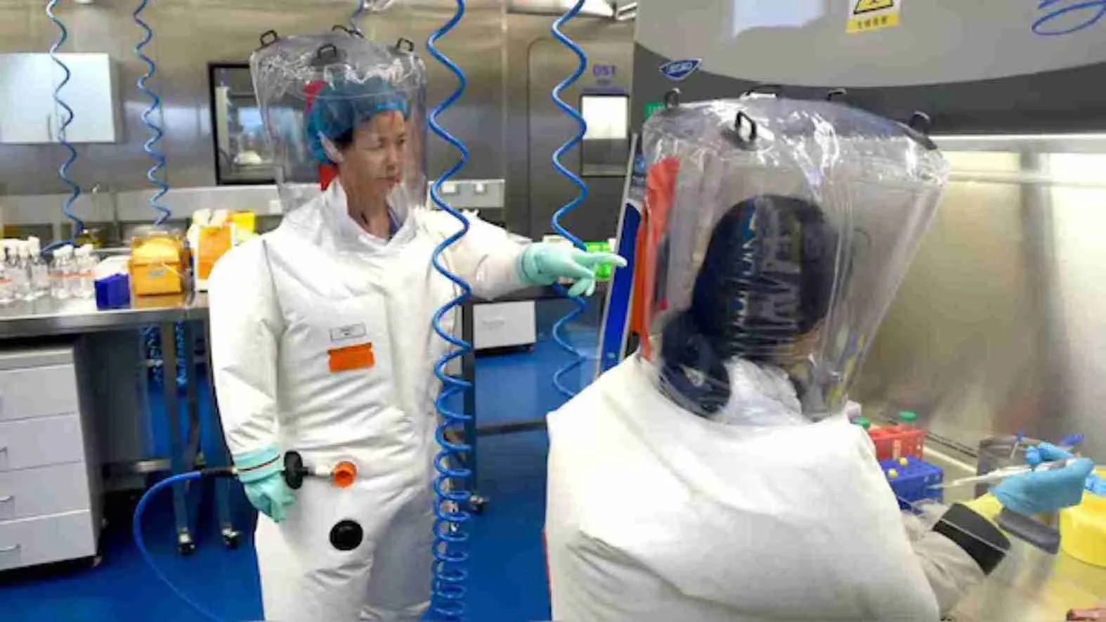 Lab Leak 2.0? China’s ‘Bat Woman’ Discovers  New Coronavirus With ‘High Spillover Risk’