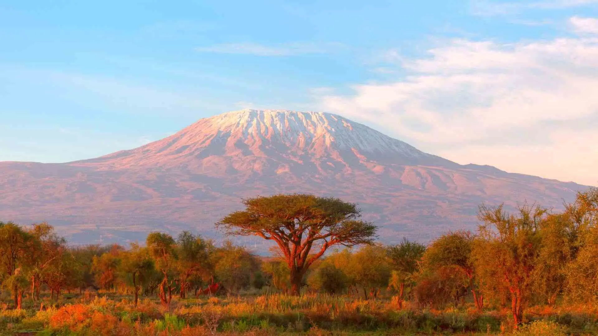 Mount Kilimanjaro: Five Distinct Climate Zones Five on Africa’s Tallest Peak