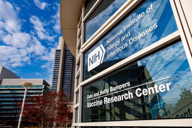 Judge Blocks Trump’s Bid to Cut NIH Funding, Protecting Vital Medical Research