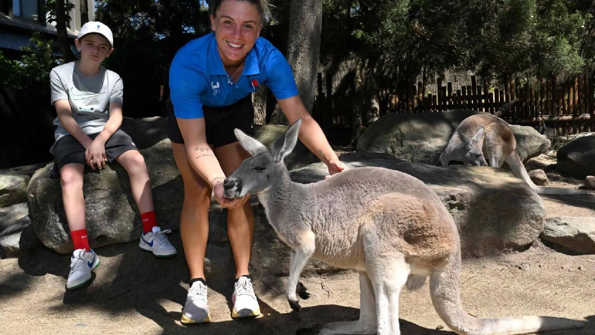 First-Ever IVF Kangaroo Embryos, Australian Scientists Achieve Groundbreaking Feat