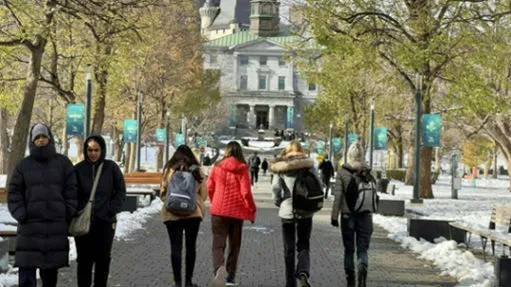Policy Changes Lead to 33% Decline in Indian Student Visas for Canada