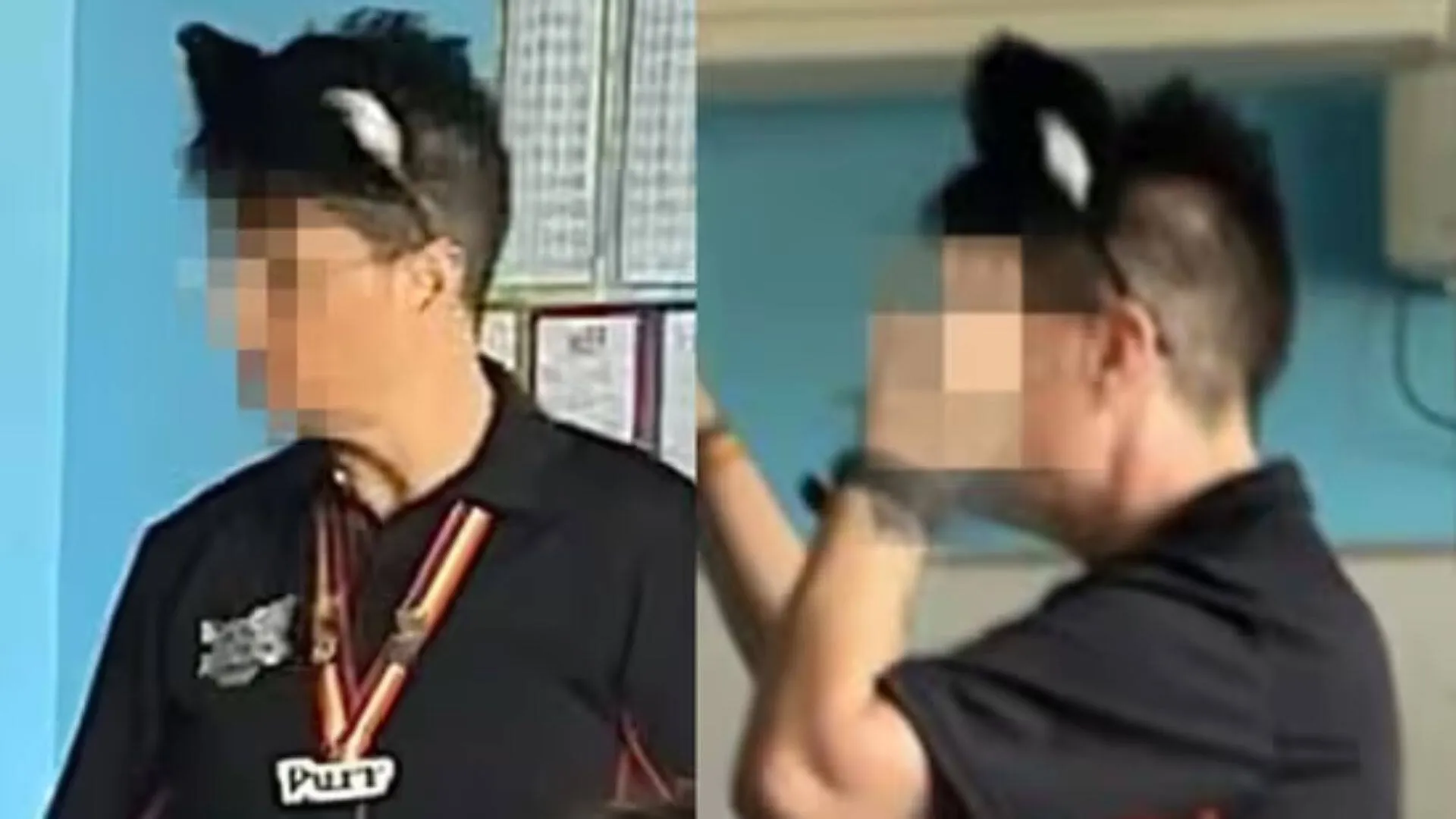 Queensland teacher identifies as cat, licks hand, hisses at students