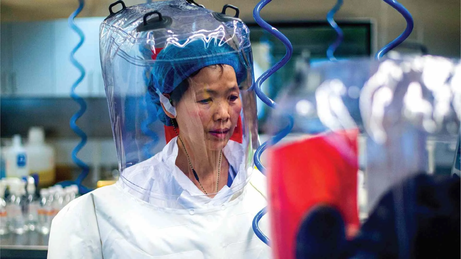 Meet Shi Zhengli: ‘Batwoman’ Who Discovered New Virus in China