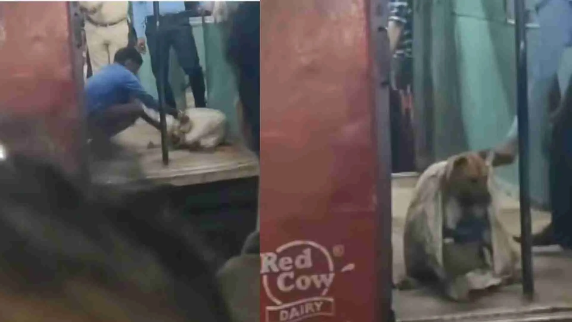 Shocking Act Of Abuse: Dog Found Stuffed In Jute Sack On Kolkata Train, Saved At Barasat Station! | WATCH