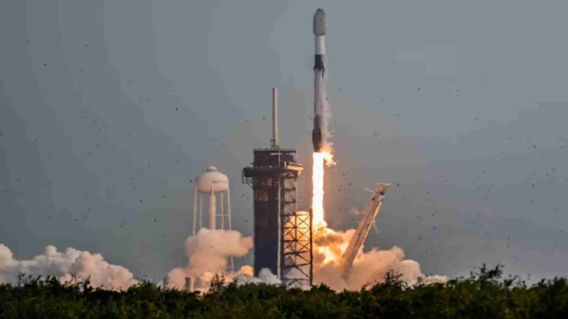 SpaceX Falcon 9 Carries NASA’s Satellite And Athena Lander To The Moon! | WATCH