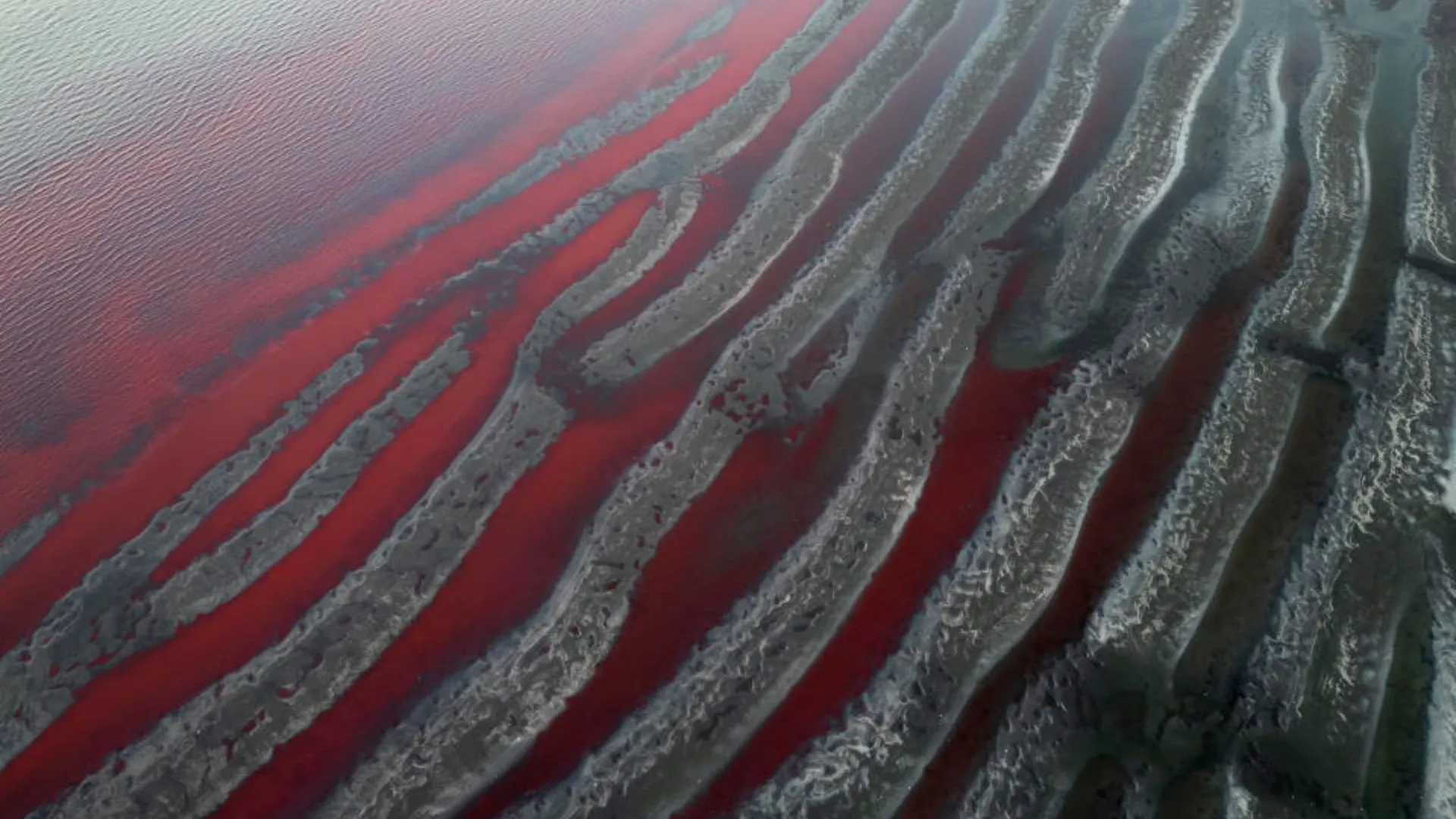 Argentina’s Stream Mysteriously Turns Blood-Red, Leaves Locals Stunned! | Watch