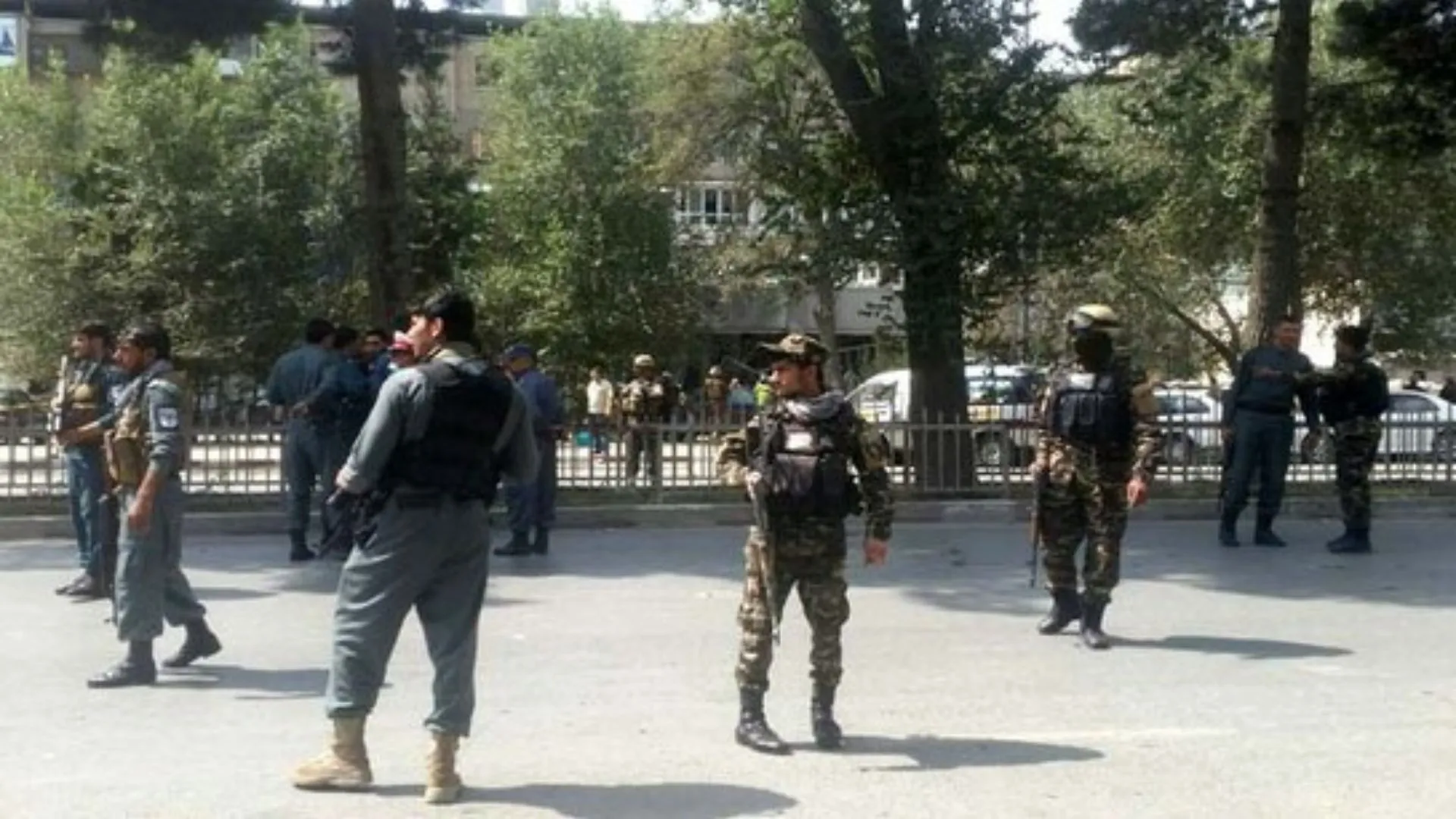 Afghanistan: Suicide Bomber Kills Five Outside Bank, Reports Police