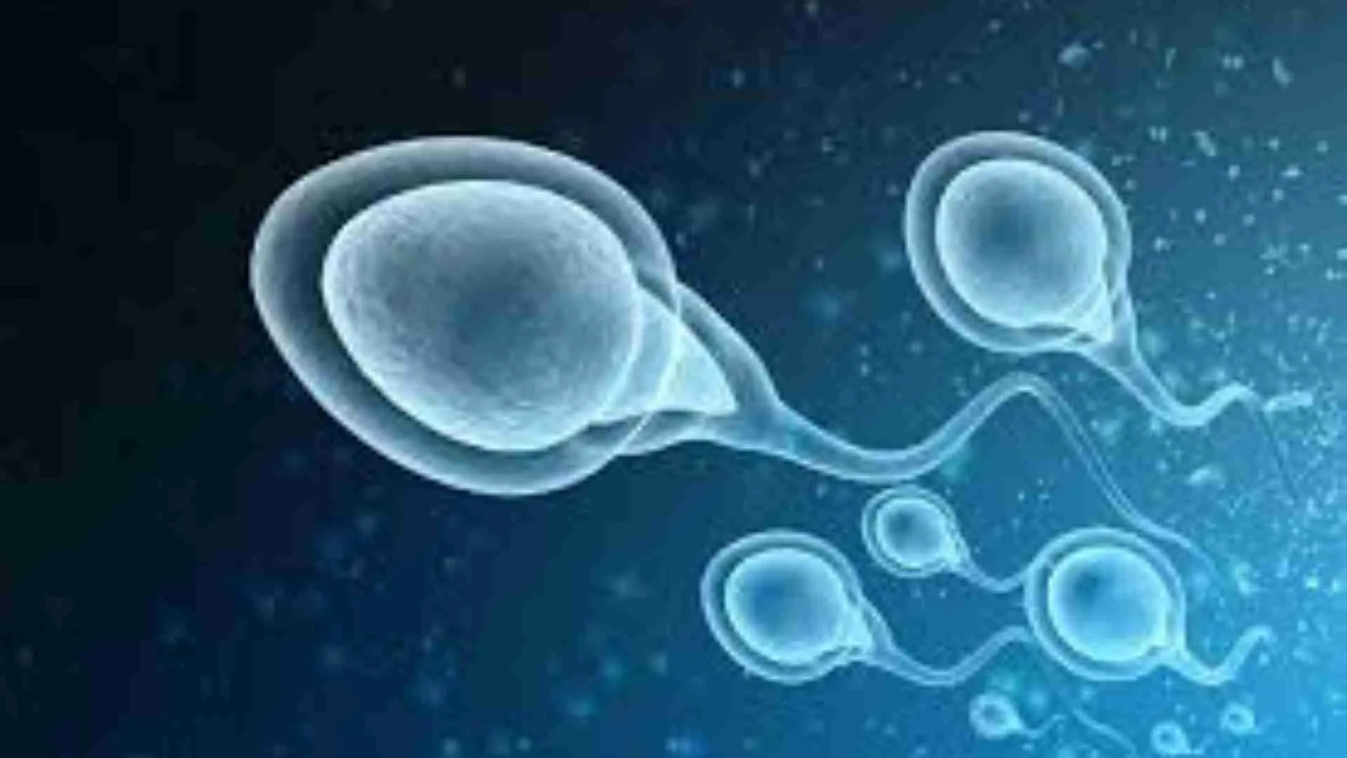 These Seeds Work As A Sperm Booster: Revitalise Your Nightlife!