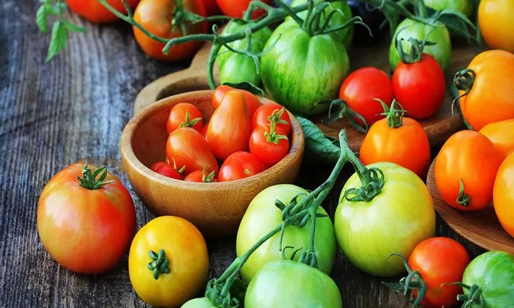 Tomato’s Secret: Lycopene Could Help Fight Depression, Study Finds