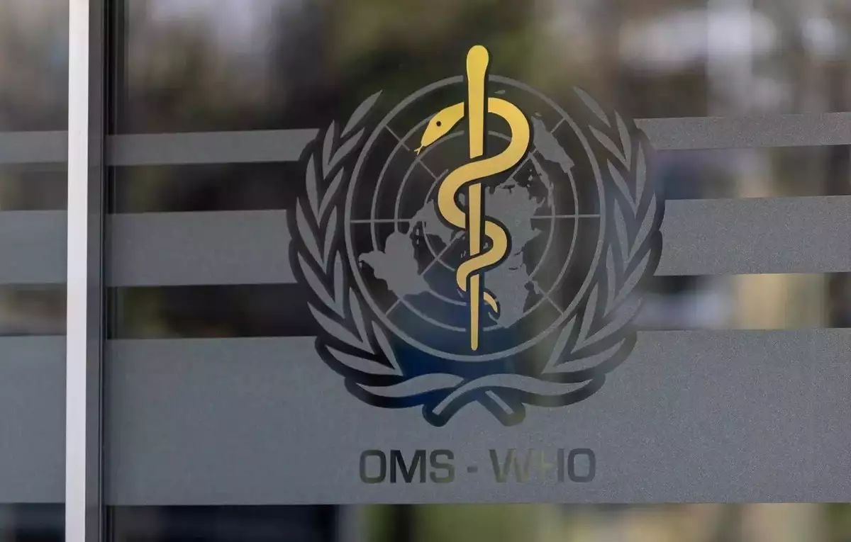 WHO Sounds Alarm on Rising Violence in West Bank, Impacting Healthcare