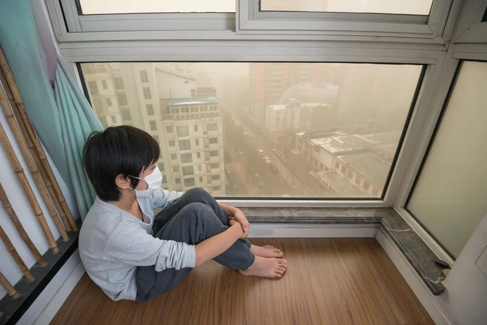 Air Pollution Dulls Focus: Study Reveals Cognitive and Emotional Impact