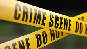 AAP leader’s wife killed in armed robbery in Punjab