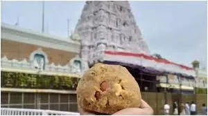 Tirupati Laddoo Case: 4 Dairy Chiefs Arrested