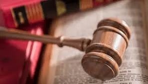 Judiciary Cannot Amend Constitution, Says Vice President