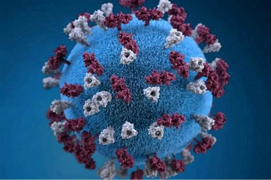 Texas Measles Outbreak Hits 90 Cases: Vaccine Hesitancy Fuels Crisis