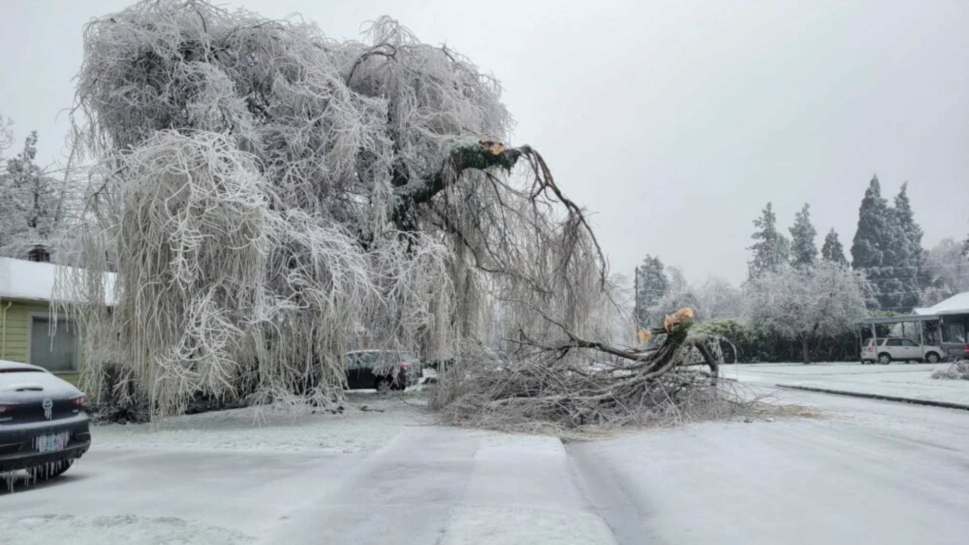Canada Ice Storm: 300,000 Without Power In Ontario, Orillia Declares Emergency