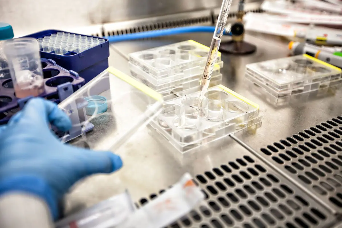 New Personalized mRNA Vaccine Shows Promise in Pancreatic Cancer Treatment
