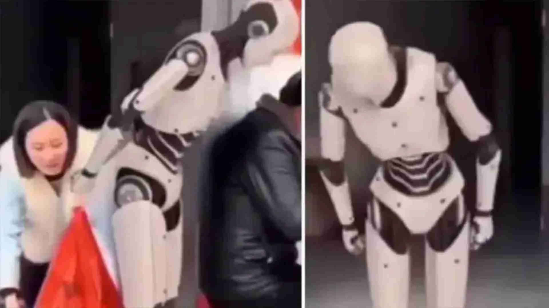 Stealing 101: Woman Outsmarts AI Robot, Proving Humans Are Still The Smartest | WATCH