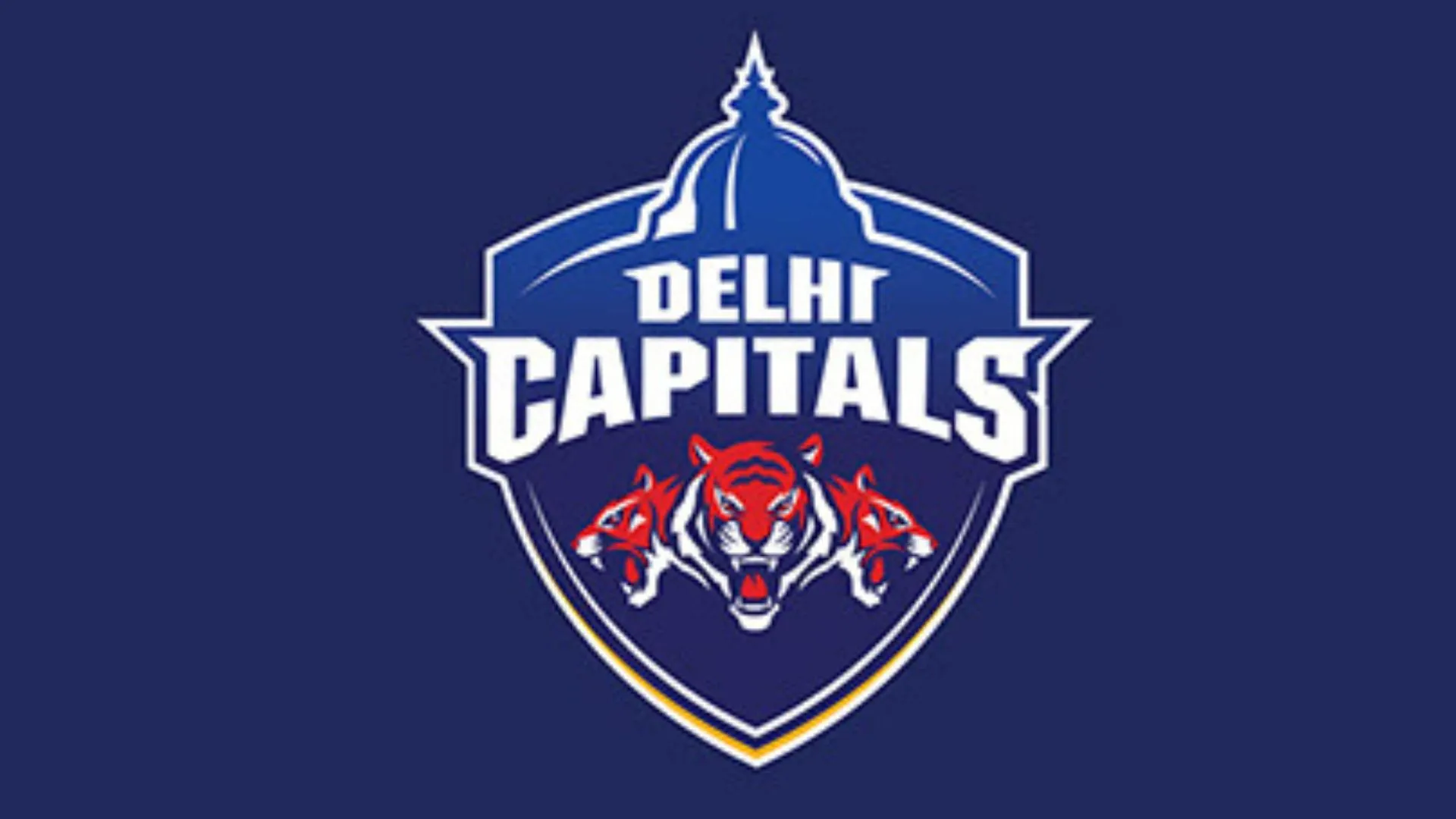 Delhi Capitals to Announce New Captain for IPL 2025 at 9:30 AM Today
