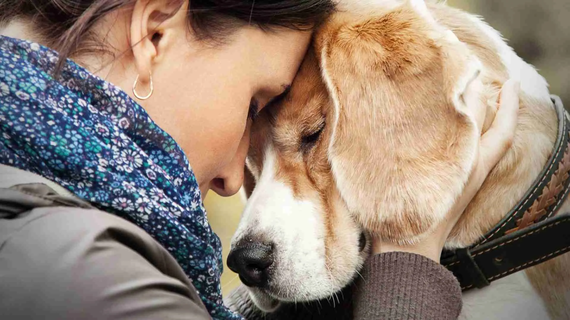 Dog’s Strange Behavior Predicts Owner’s Cancer Diagnosis