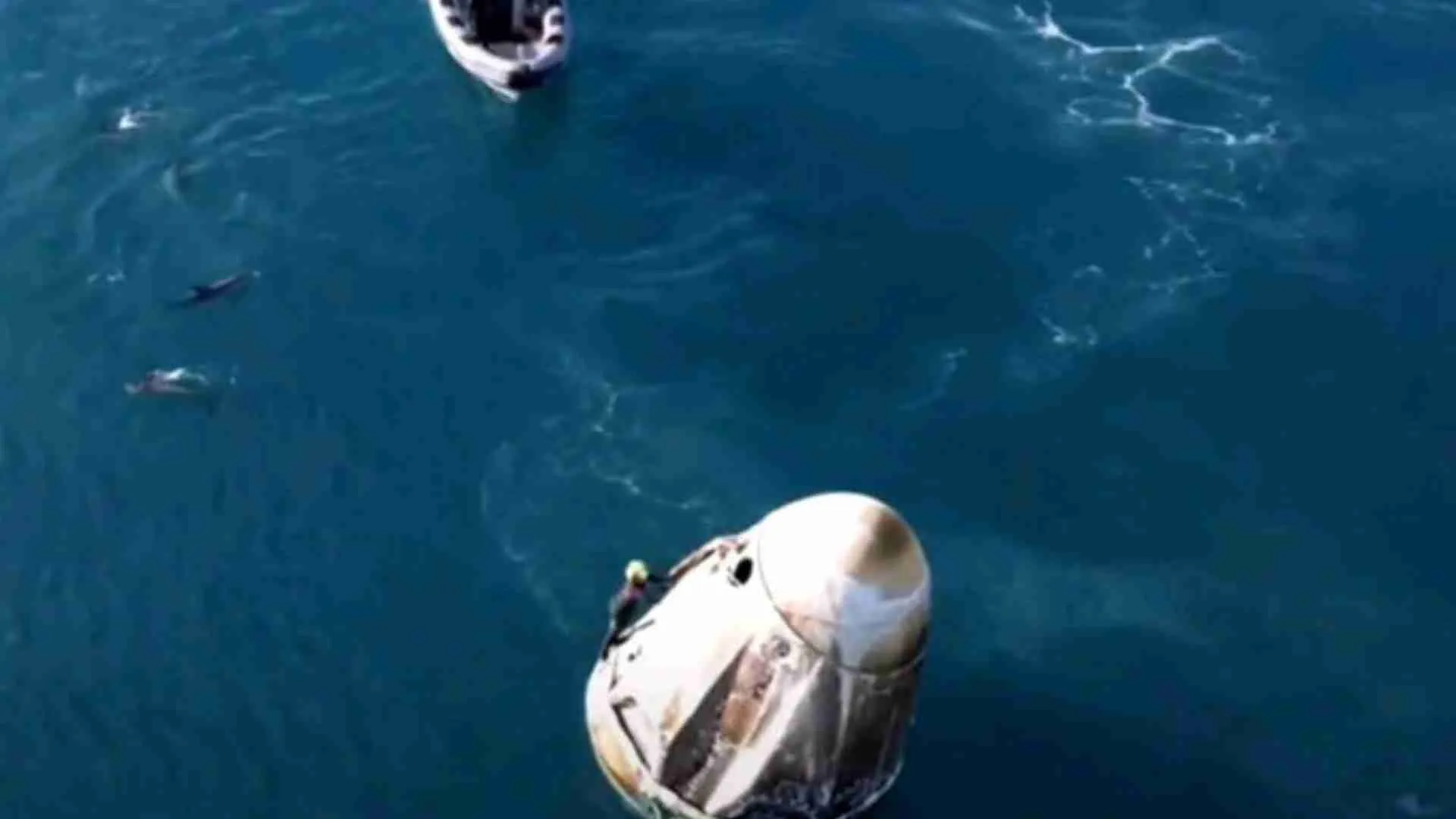 Dolphins Say ‘Hi’ To Sunita Williams! Astronaut’s Splashdown Gets An Adorable Welcome | WATCH