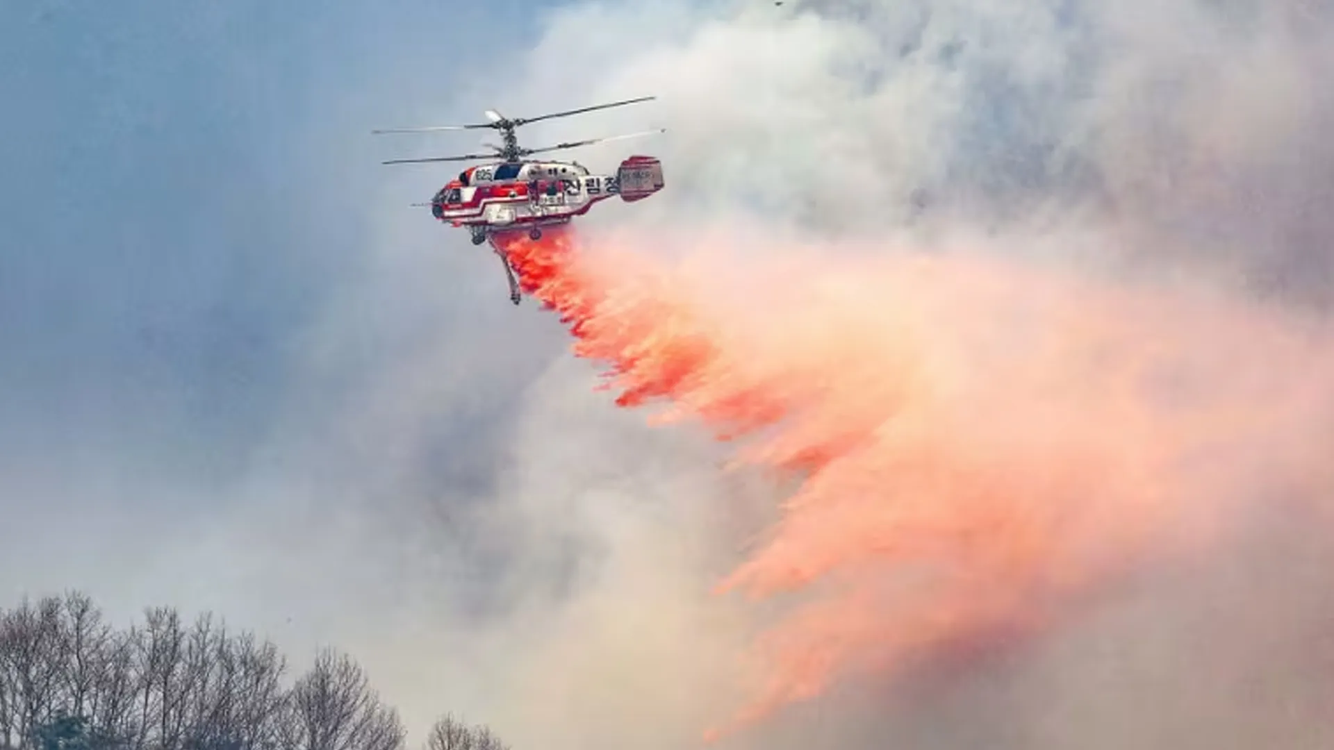 Firefighting Helicopter Crashes in South Korea, Killing Pilot Amid Raging Wildfires