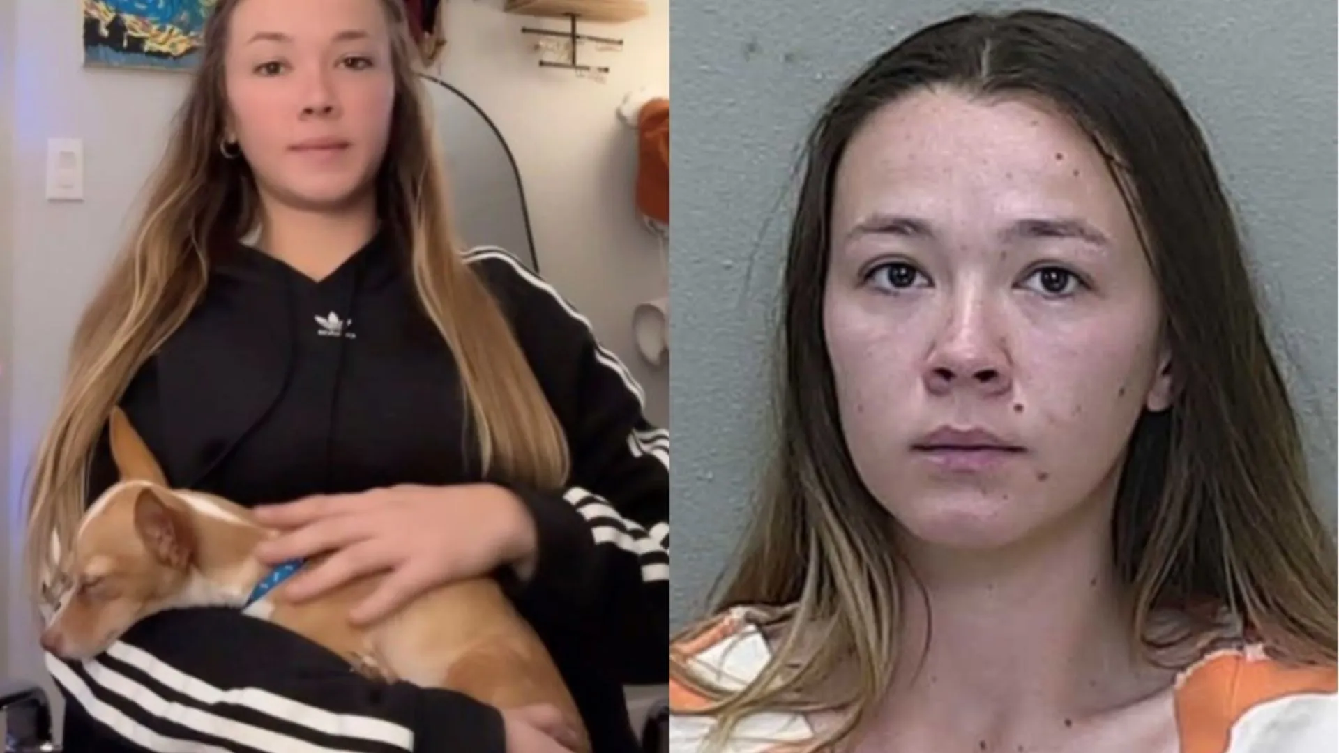 Florida Woman Arrested for Allegedly Raping Dog, Here’s What Happened