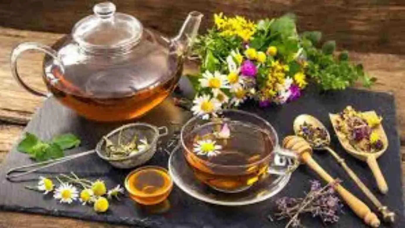 Forget Shilajit! This Herbal Tea Gave Kings The Strength to Satisfy Hundreds Of Queens