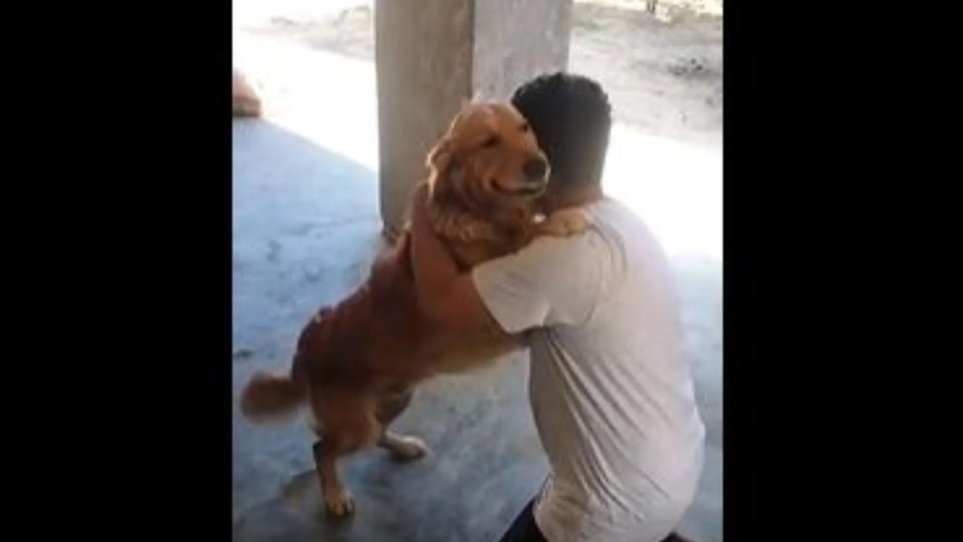 Delhi Man Reunites with Lost Dog, Heartwarming Video Goes Viral | WATCH